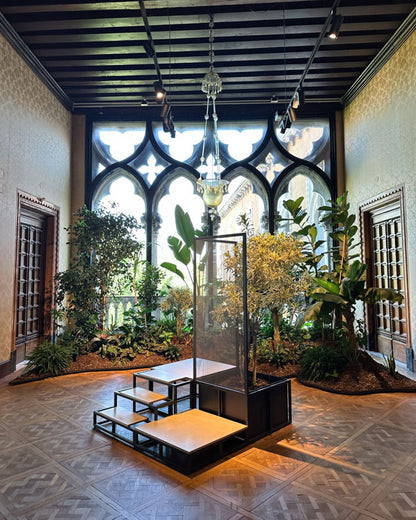 Palazzo Franchetti