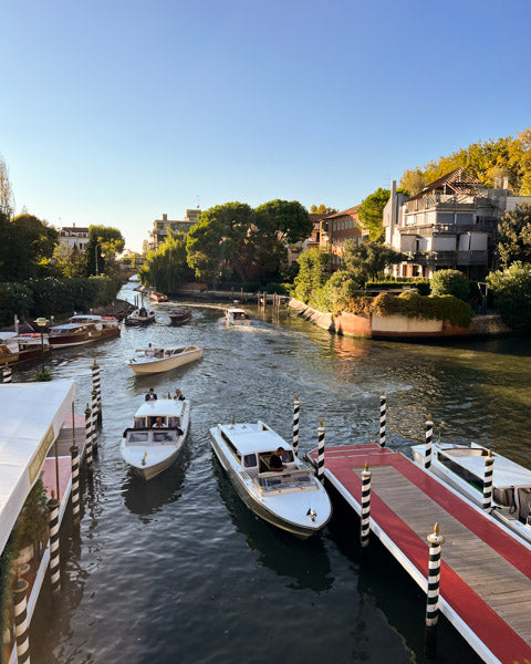 Venice Film Festival