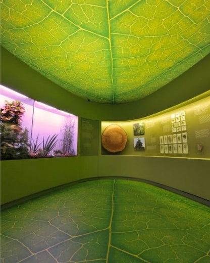 Museo di Storia Naturale di Venezia