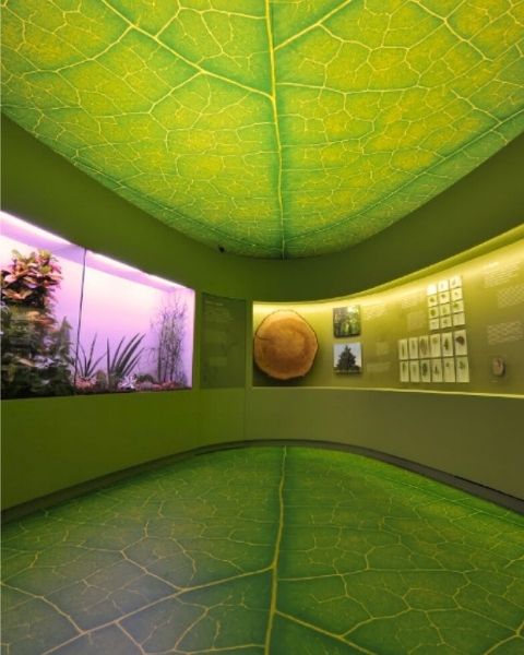 Museo di Storia Naturale di Venezia