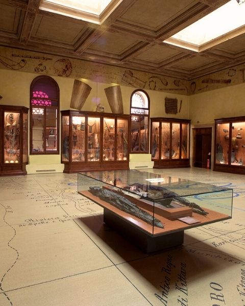 Museo di Storia Naturale di Venezia