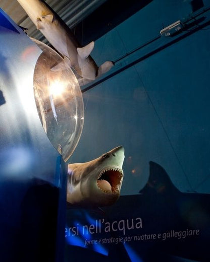 Museo di Storia Naturale di Venezia