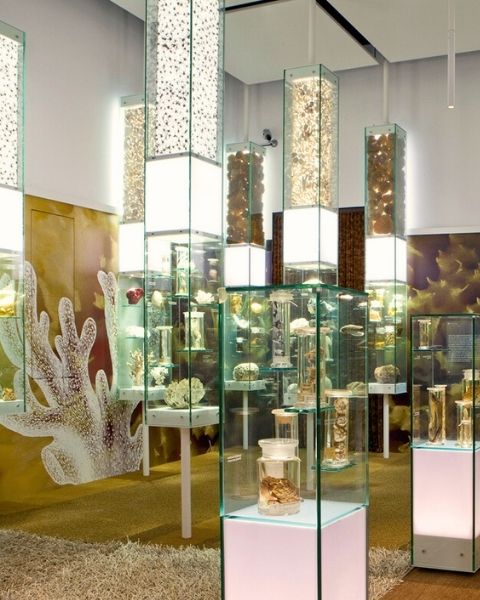 Museo di Storia Naturale di Venezia