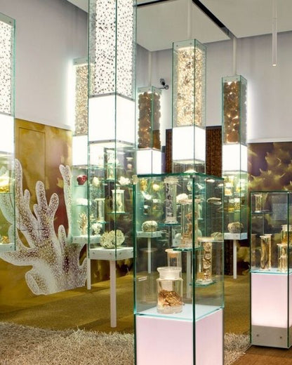 Museo di Storia Naturale di Venezia